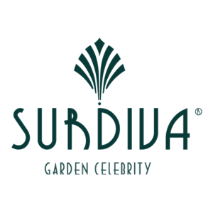 Surdiva® an MNP / Suntory power brand