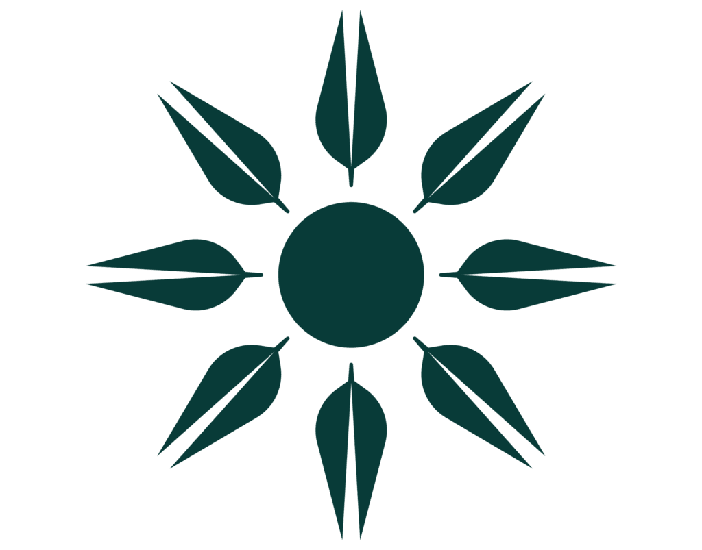 Stardiva Scaevola eamula - Full sun - icon