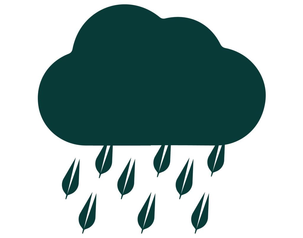 Stardiva Scaevola eamula - Rain - icon