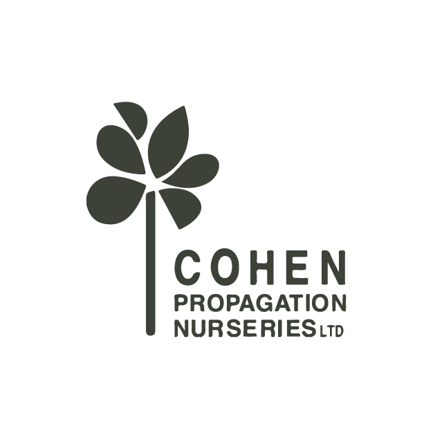 Ask Cohen Propagation Nurseries for young plants of Stardiva®