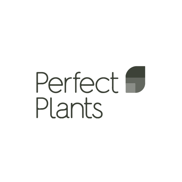 Ask Perfect Plants for in vitro - clean starting tissue of Stardiva®