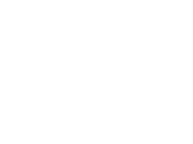 Princettia® logo