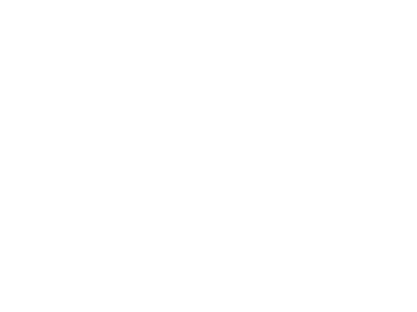 Senetti® logo