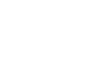 Surdiva® logo