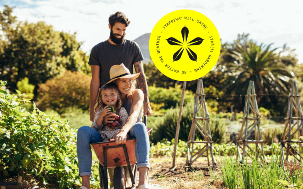 Stardiva Scaevola eamula - Star(t) gardening - mo(ve)ment