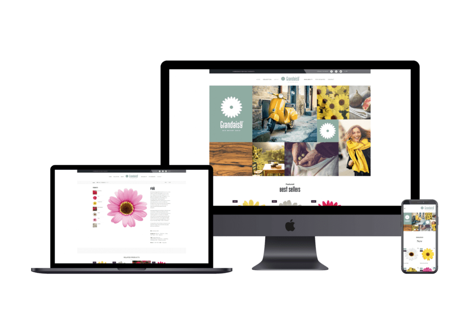 grandaisy.com