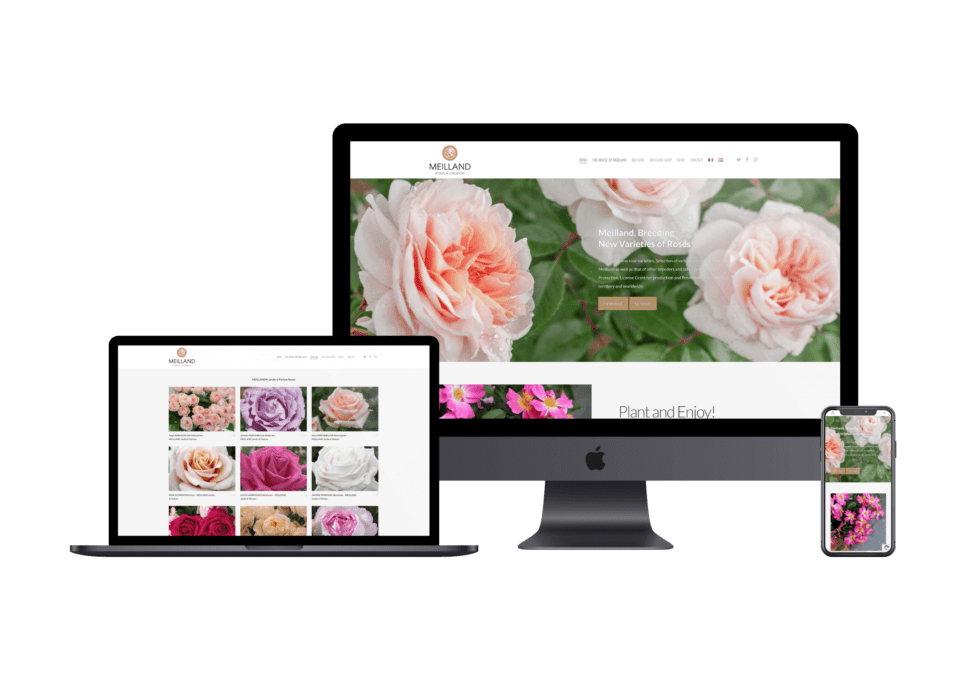 meilland.com